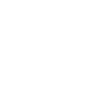 CricHIIT Logo